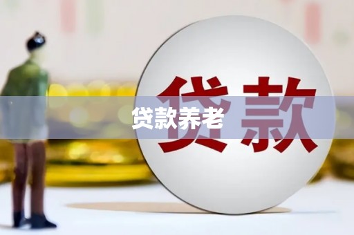 赣州贷款养老