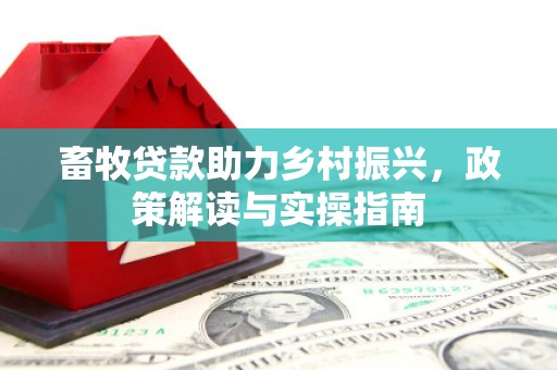 赣州畜牧贷款助力乡村振兴，政策解读与实操指南