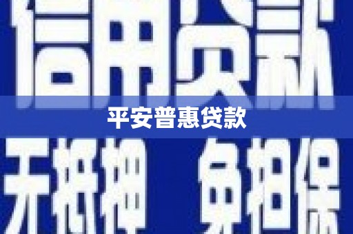 赣州平安普惠贷款