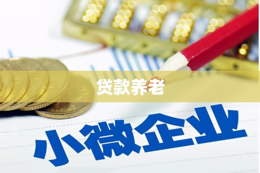 赣州贷款养老
