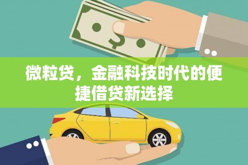 赣州微粒贷，金融科技时代的便捷借贷新选择
