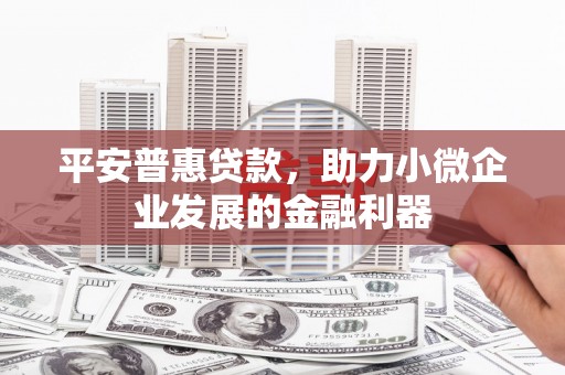 赣州平安普惠贷款，助力小微企业发展的金融利器