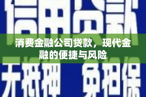 赣州消费金融公司贷款，现代金融的便捷与风险