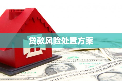 赣州贷款风险处置方案