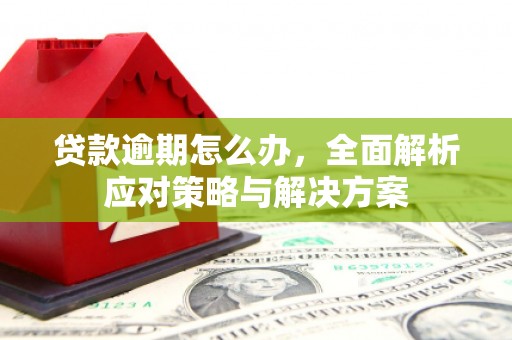 赣州贷款逾期怎么办，全面解析应对策略与解决方案