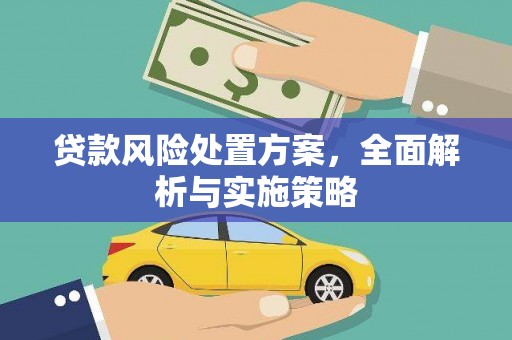 赣州贷款风险处置方案，全面解析与实施策略